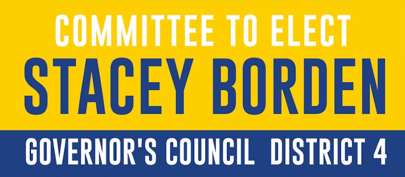 Stacey Borden Secures Spot on Ballot for Governor's Council District 4