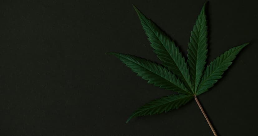 Reclassify Medical Cannabis: New Era Could Ignite Industry Growth