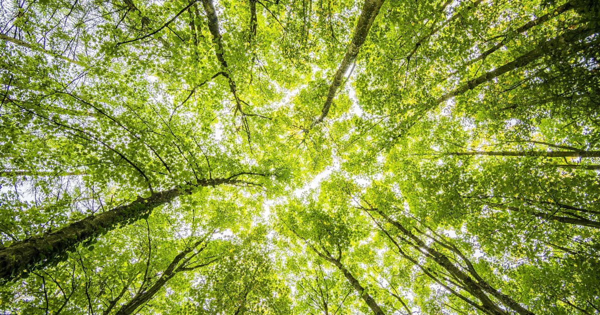EU Renewables Hit 54.1% in Q2 2026, Signaling Market Growth for Green Energy Firms