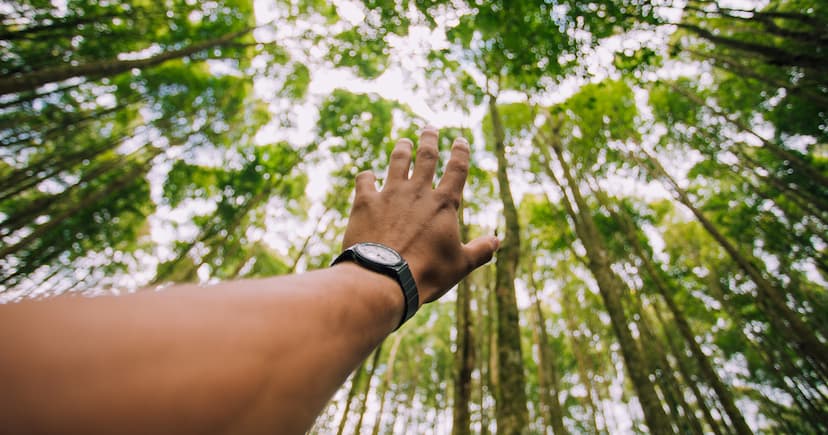 Edye Celebrates 7 Years as Trusted Preschool Platform for Hispanic Families