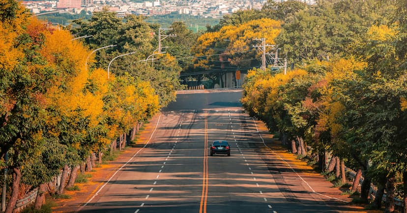 Hotels Turn to Robot Helpers to Solve Staffing Crisis