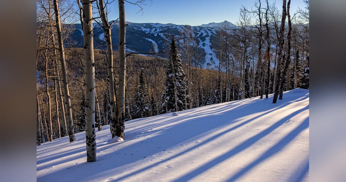 The Truth About Ski-In, Ski-Out in Vail: Rare, Pricey, and Often Misunderstood