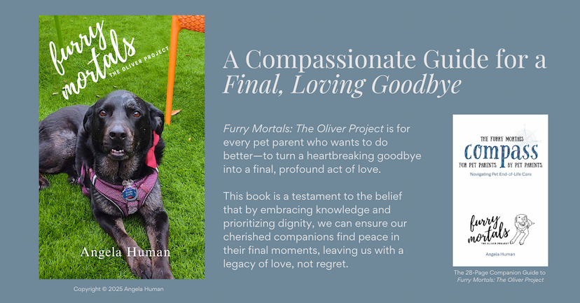 New Book Guides Pet Owners Through End-of-Life Care with Heart and Expertise